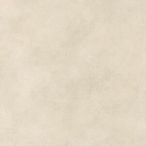 Boost Expression Camel 80x80